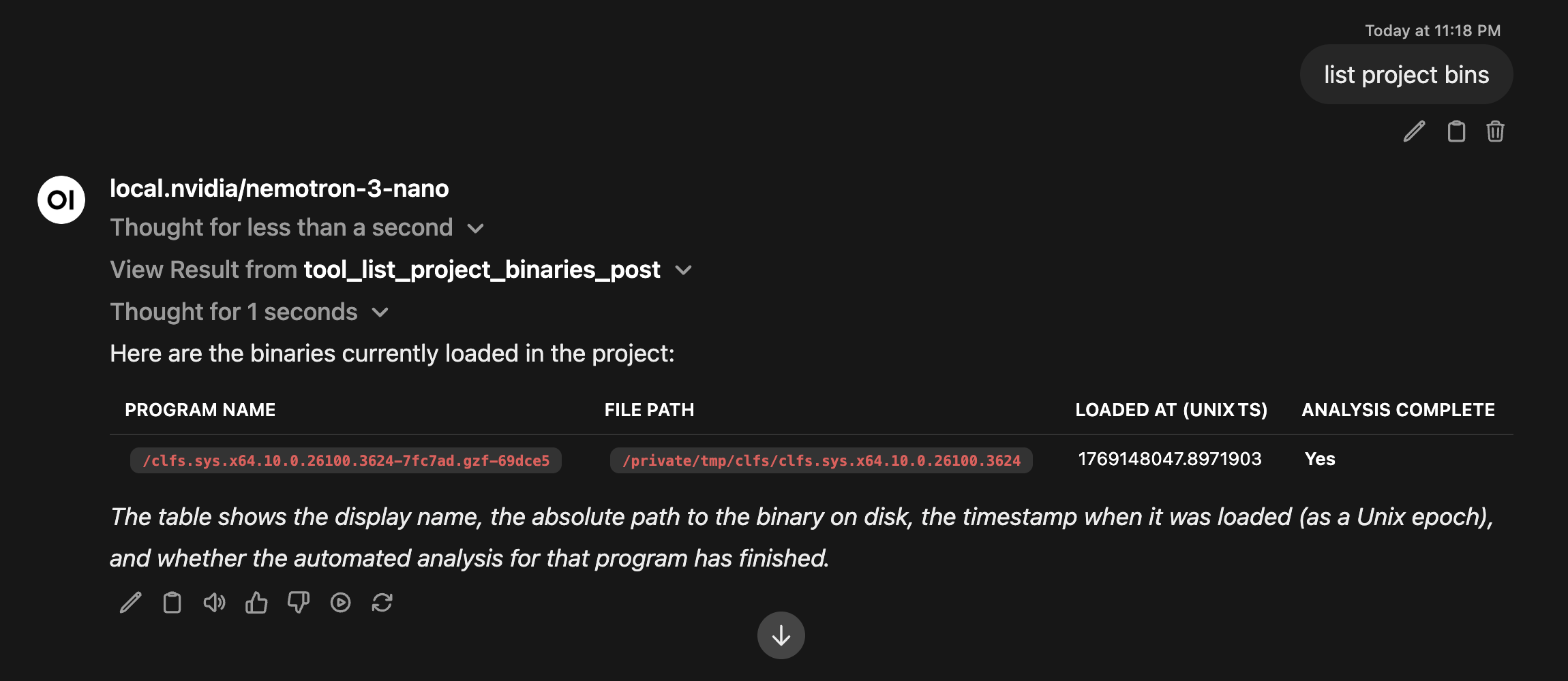 LLM listing project binaries via pyghidra-mcp